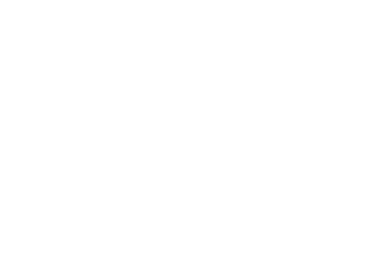 NET Elite Logo
