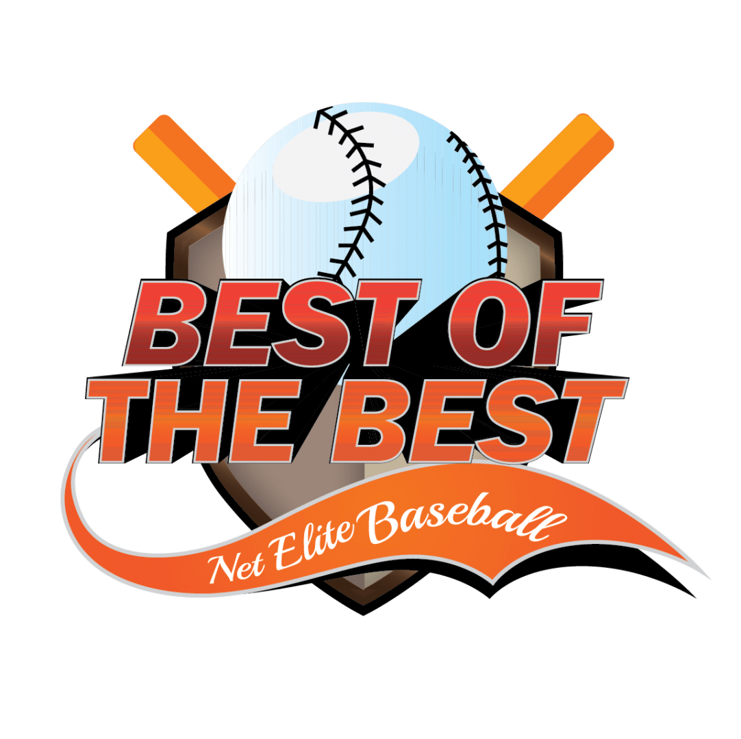 Best of the Best Net Elite Baseball